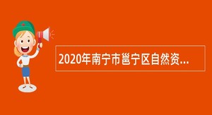 2020年南宁市邕宁区自然资源局招聘公告