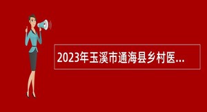 2023年玉溪市通海县乡村医生招聘公告
