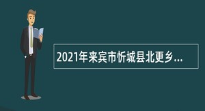 2021年来宾市忻城县北更乡人民政府招聘党政机关编外人员公告
