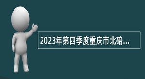 2023年第四季度重庆市北碚区教育事业单位招聘工作人员公告