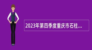 2023年第四季度重庆市石柱县事业单位招聘考试公告（106名）