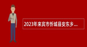 2023年来宾市忻城县安东乡人民政府招聘公告
