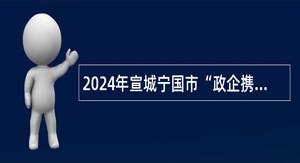 2024年宣城宁国市“政企携手·共育共赢” 事业单位储备人才引进公告