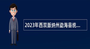 2023年西双版纳州勐海县统计局招聘编外聘用人员公告