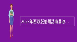 2023年西双版纳州勐海县政务服务管理局编外聘用人员招聘公告