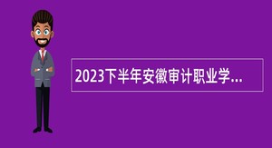 2023下半年安徽审计职业学院招聘公告