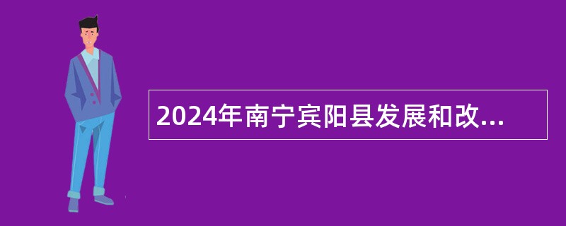 2024年南宁宾阳县发展和改革局招聘编外工作人员公告