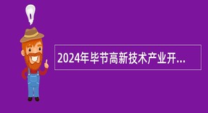 2024年毕节高新技术产业开发区事业单位招聘考试公告（8人）